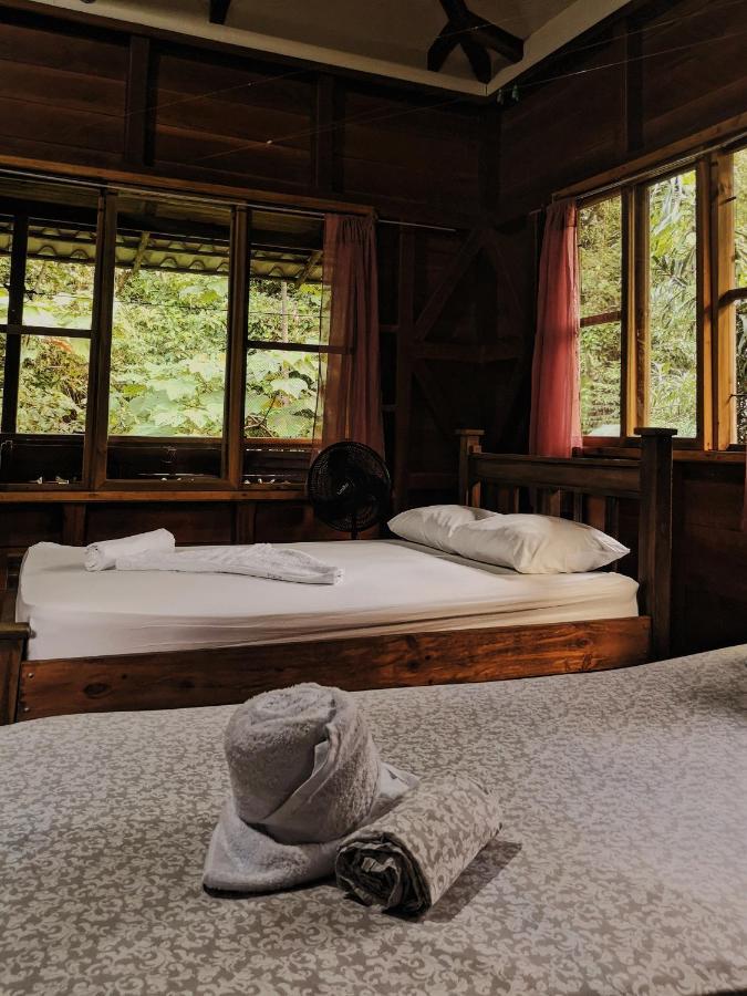 Lodge Kinkajoungalows - Amaya Family, Drake Bay, Osa Peninsula