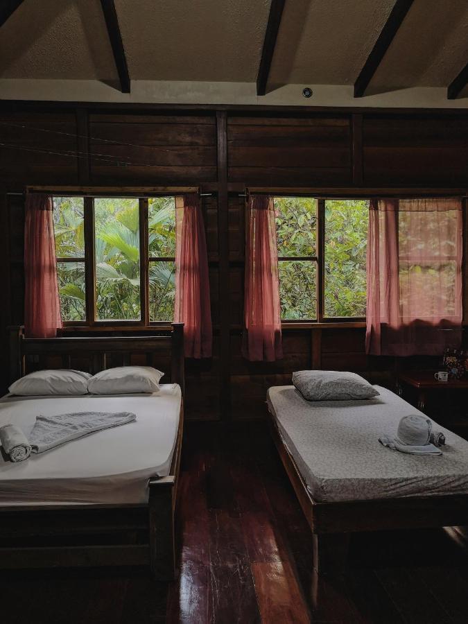 Lodge Kinkajoungalows - Amaya Family, Drake Bay, Osa Peninsula San Pedrillo