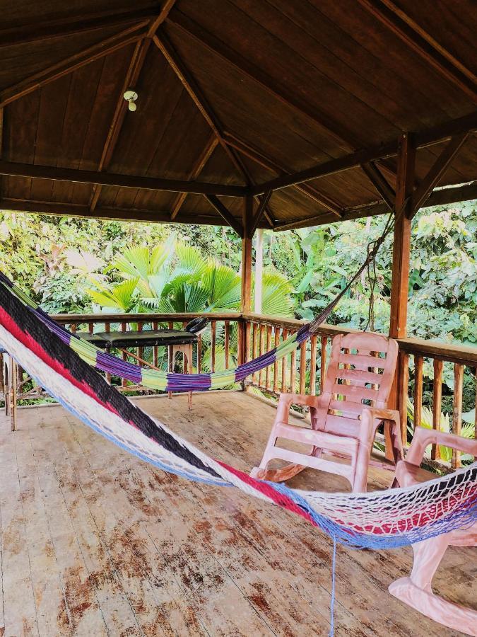 Kinkajoungalows - Amaya Family, Drake Bay, Osa Peninsula Lodge *