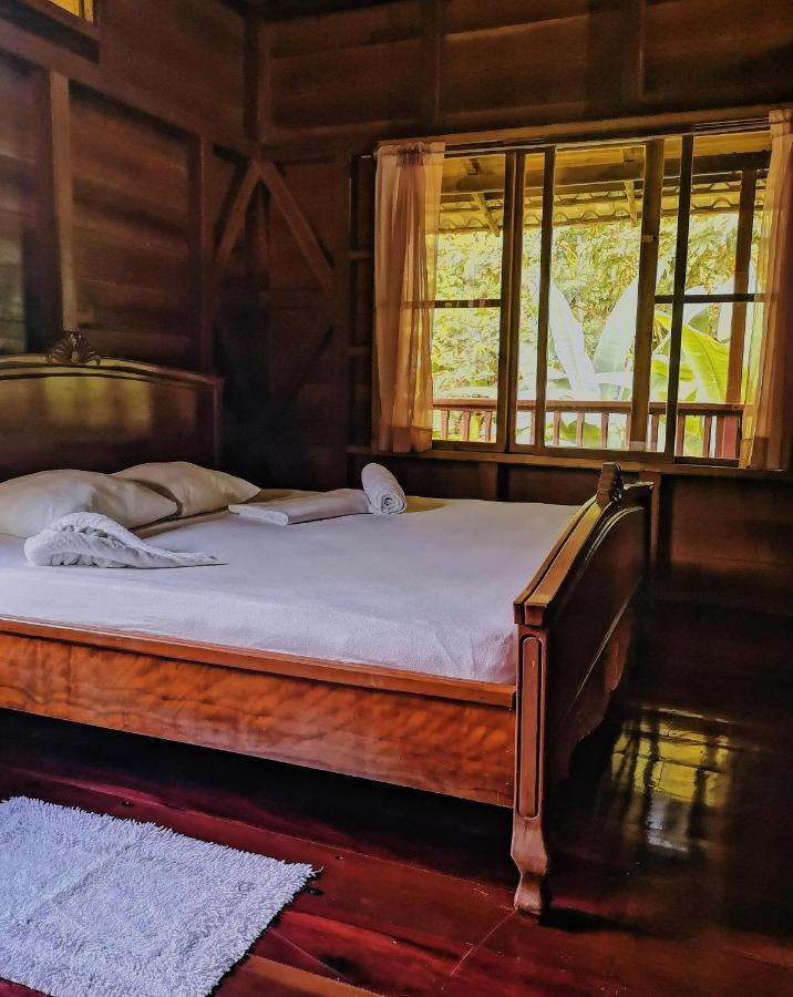 Lodge Kinkajoungalows - Amaya Family, Drake Bay, Osa Peninsula